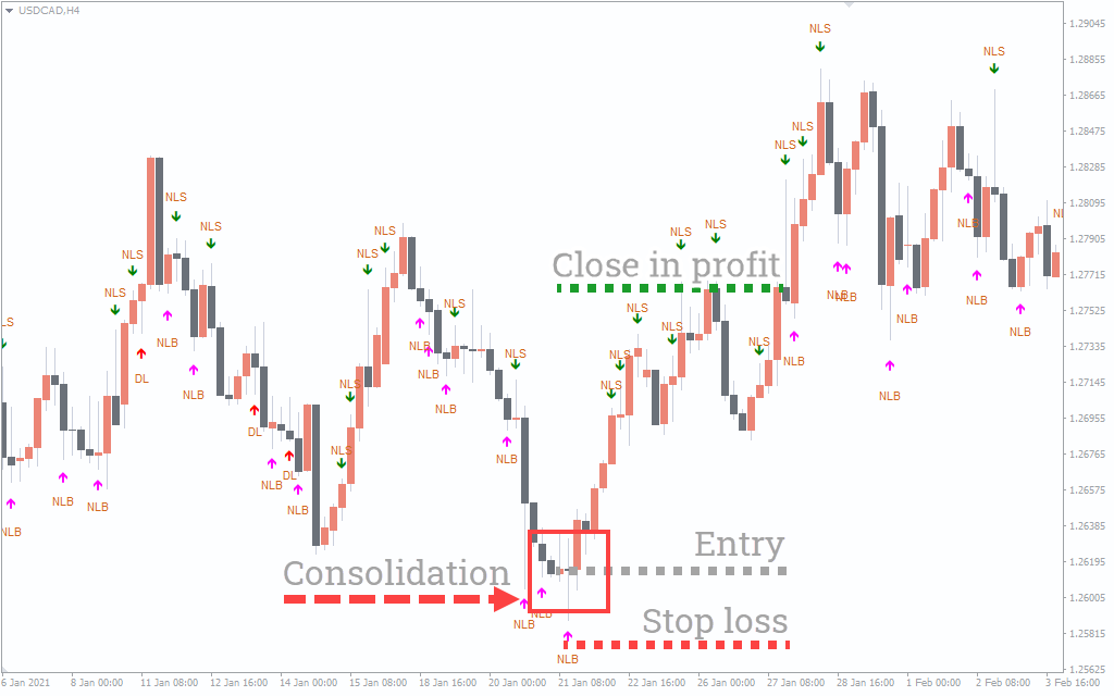 Price action indicator